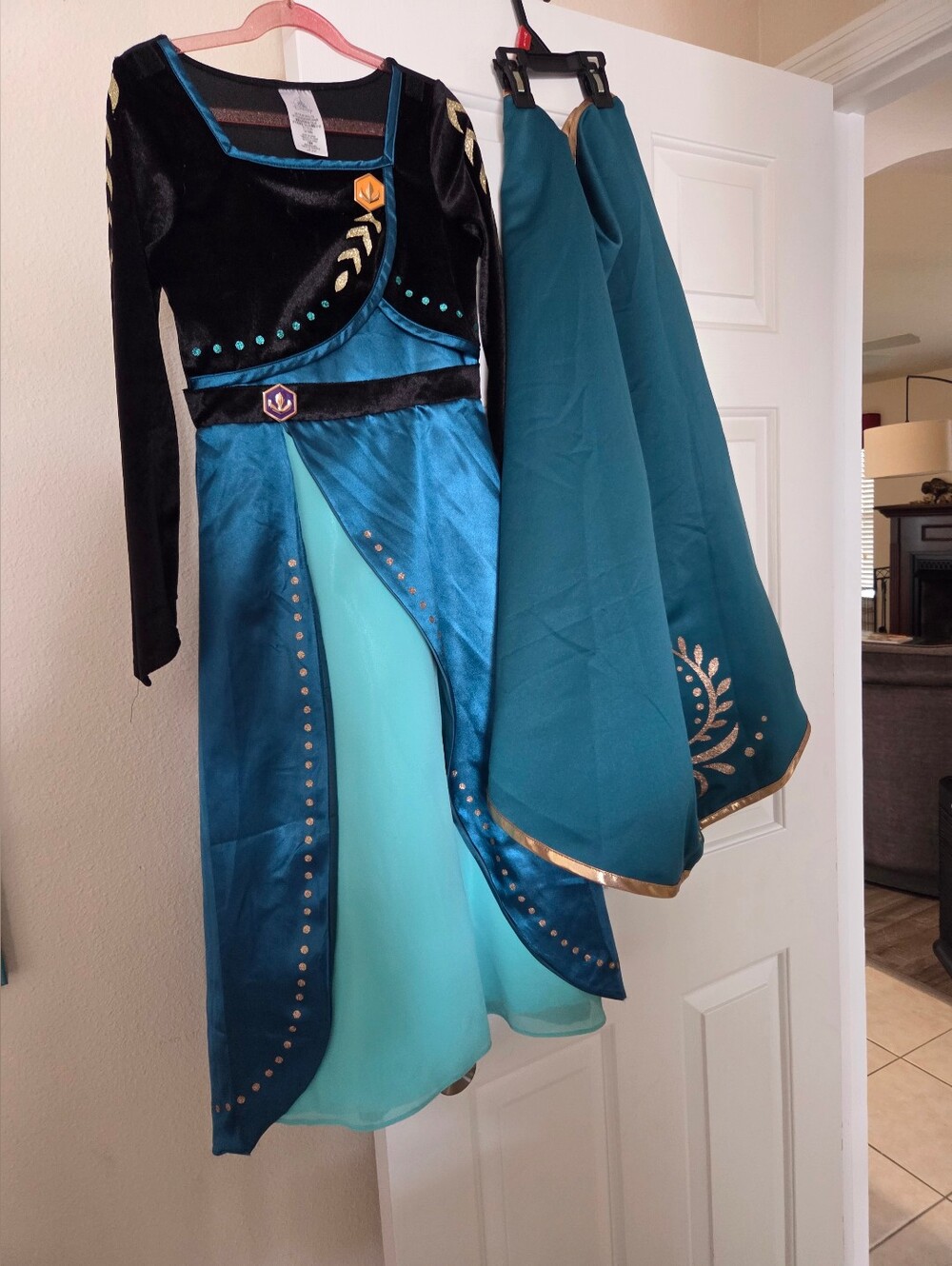 Kids Teal and Black Princess Anna Costume Dress with Cape